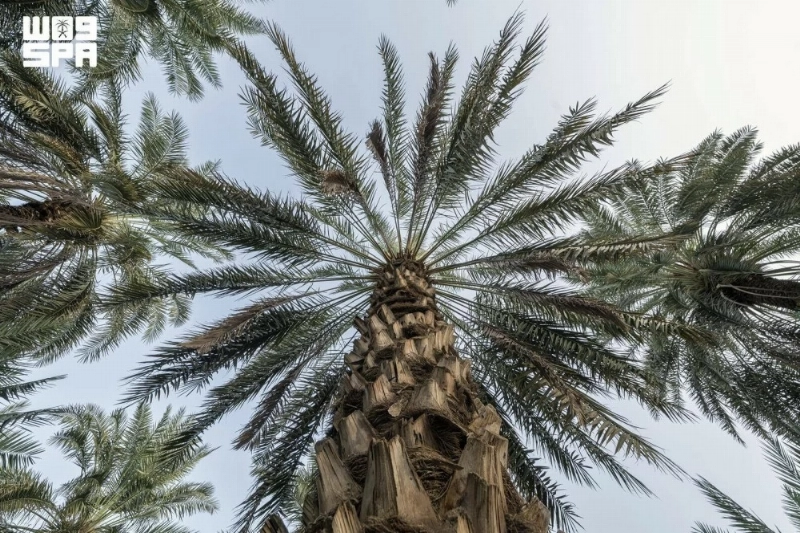 F10552738