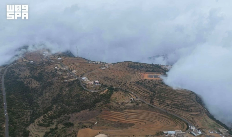 F10599669