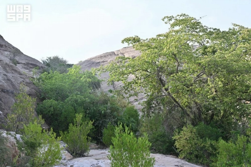 F10657996