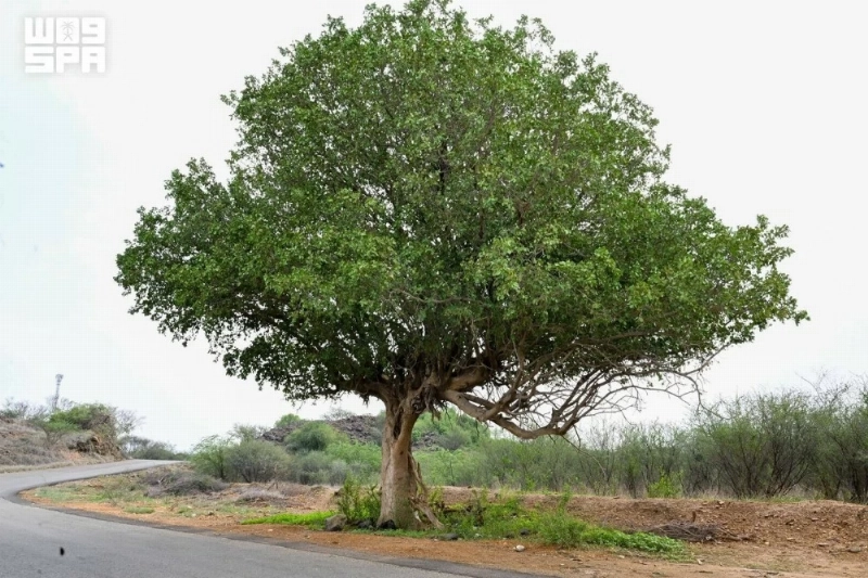 F10658001
