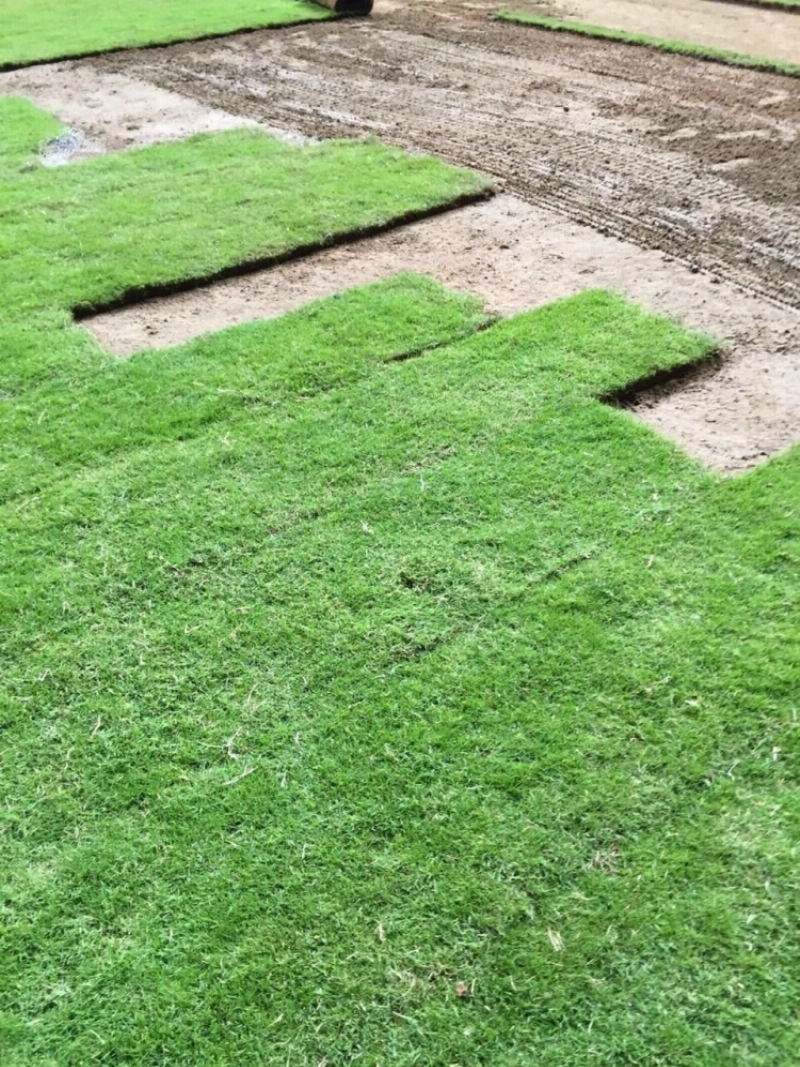 جانب من أرضية ملعب الجوهرة (مكة)