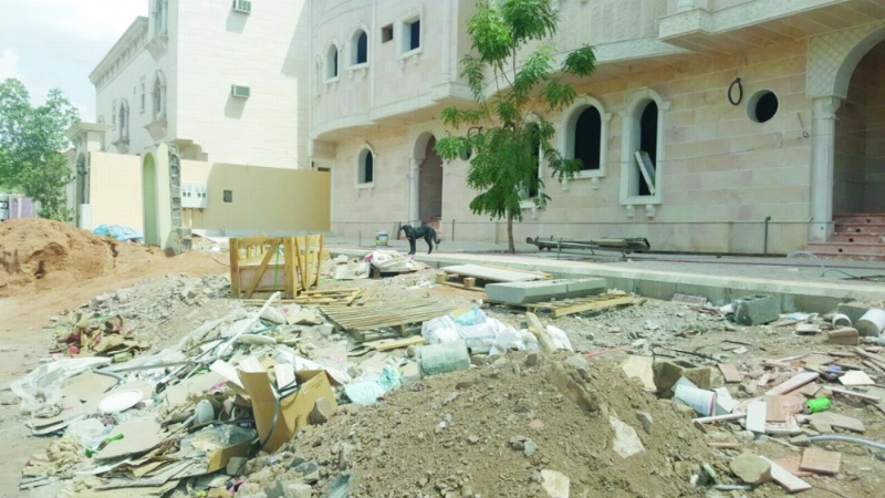 كلب ضال في مخطط باقدو يبحث عن طعام (مكة)
