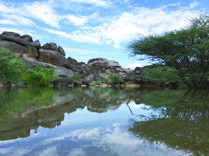 أودية في نجران بعد هطول الأمطار أخيرا (واس)