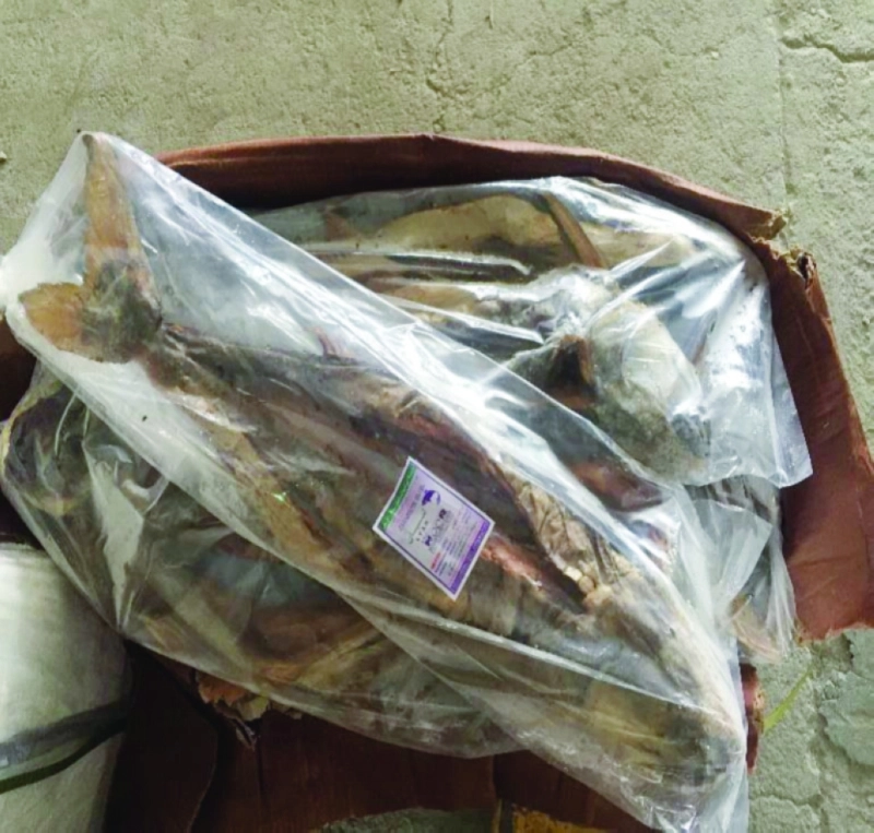 أسماك فاسدة مضبوطة (مكة)
