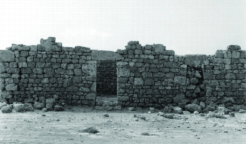 العرضي