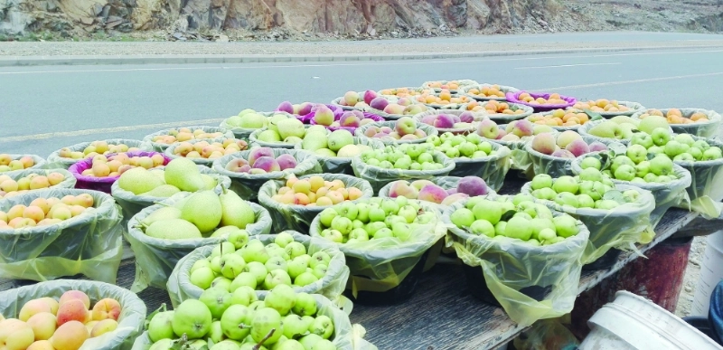 فاكهة معروضة للبيع على أحد الشوارع في عسير (مكة)
