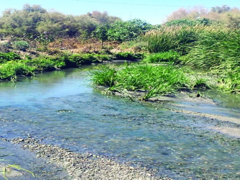 وادي العرج في محافظة الطائف (مكة)