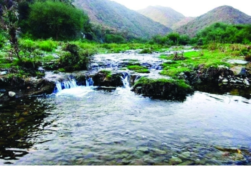 وادي تربة (مكة)