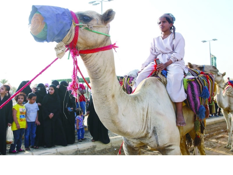 قافلة الجمال في جادة عكاظ (ياسر بخش)