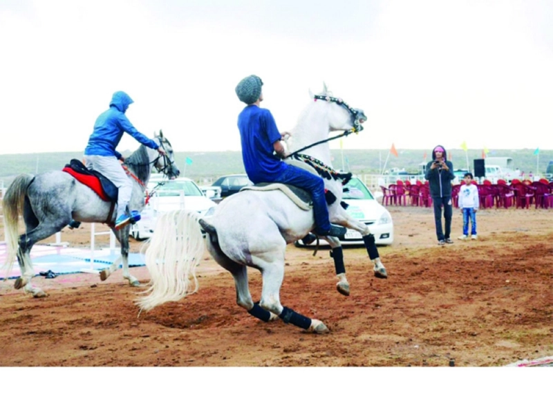 استعراض الخيول بالمهرجان (واس)