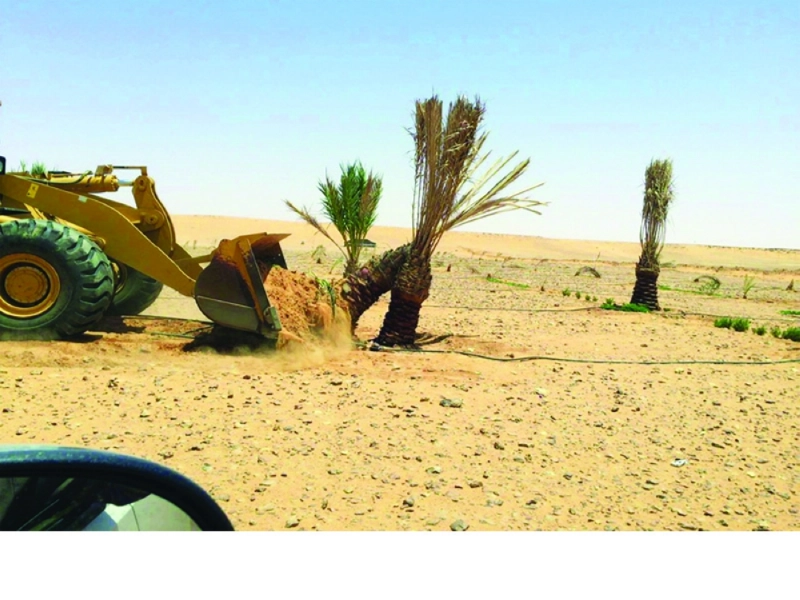 جانب من عملية الإزالة (مكة)