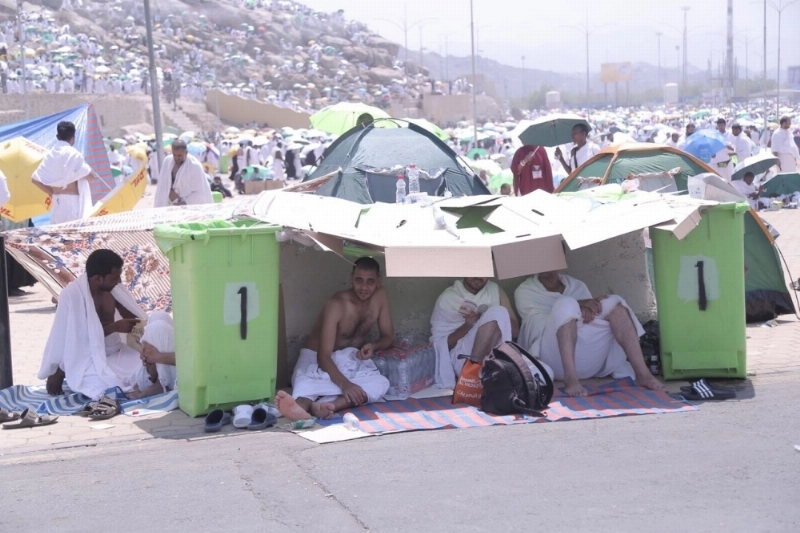 ظل بالكرتون في عرفة