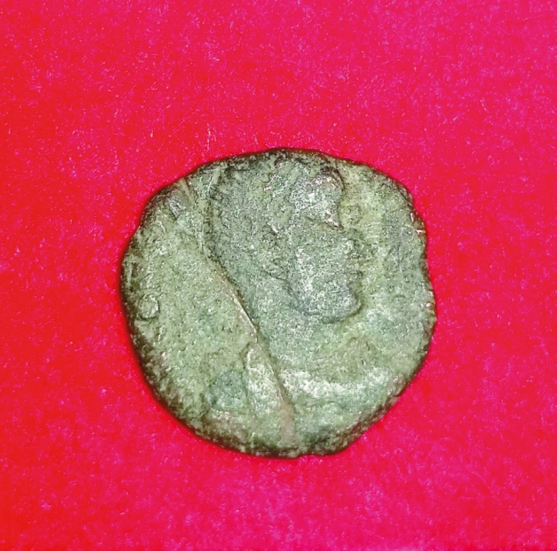 إحدى القطع (أ ف ب)