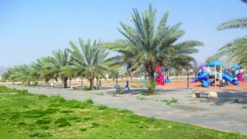 إحدى الحدائق في حائل (مكة)