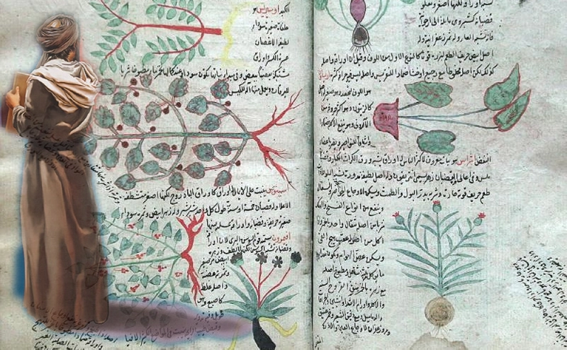 كتاب ابن هبل