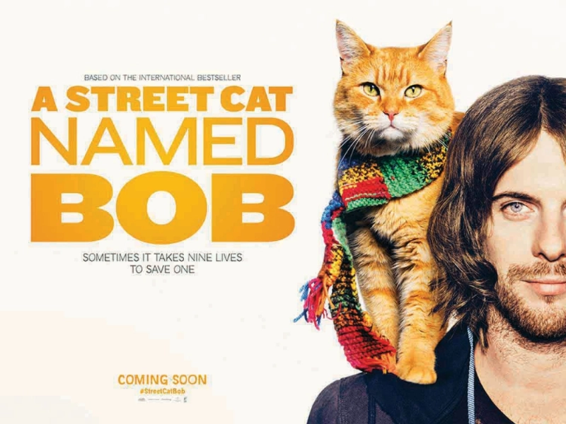 بوستر الفيلم