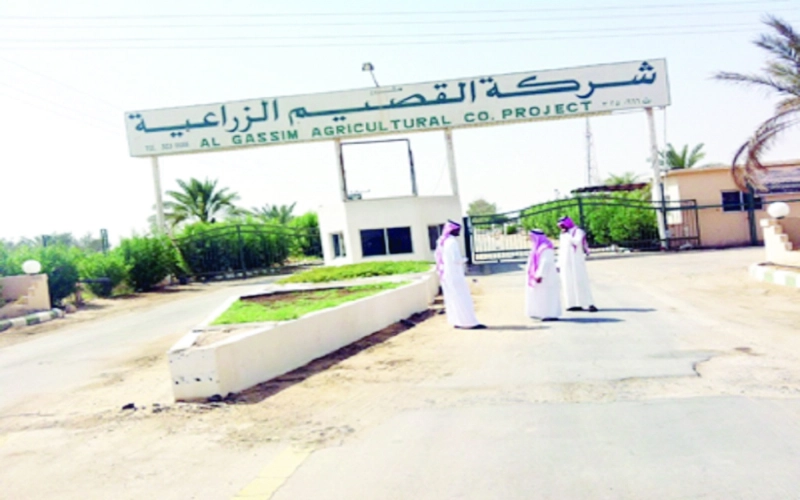 مدخل مقر الشركة (مكة)