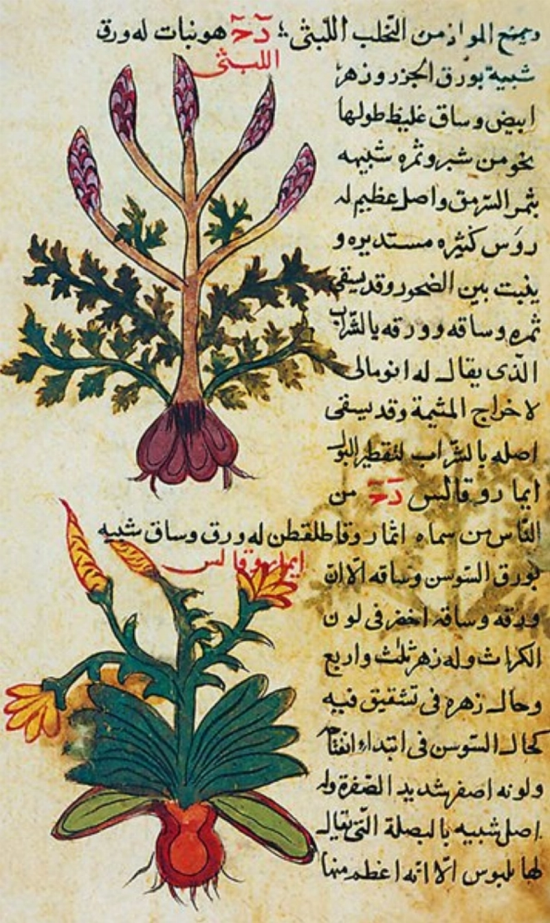 صفحة من كتاب الترياق