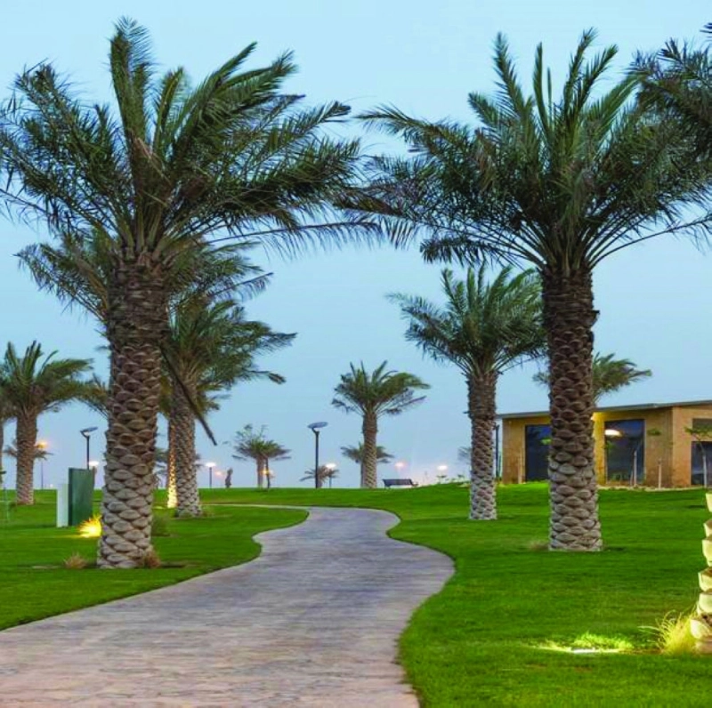 من تجميل المدن الصناعية (مكة)