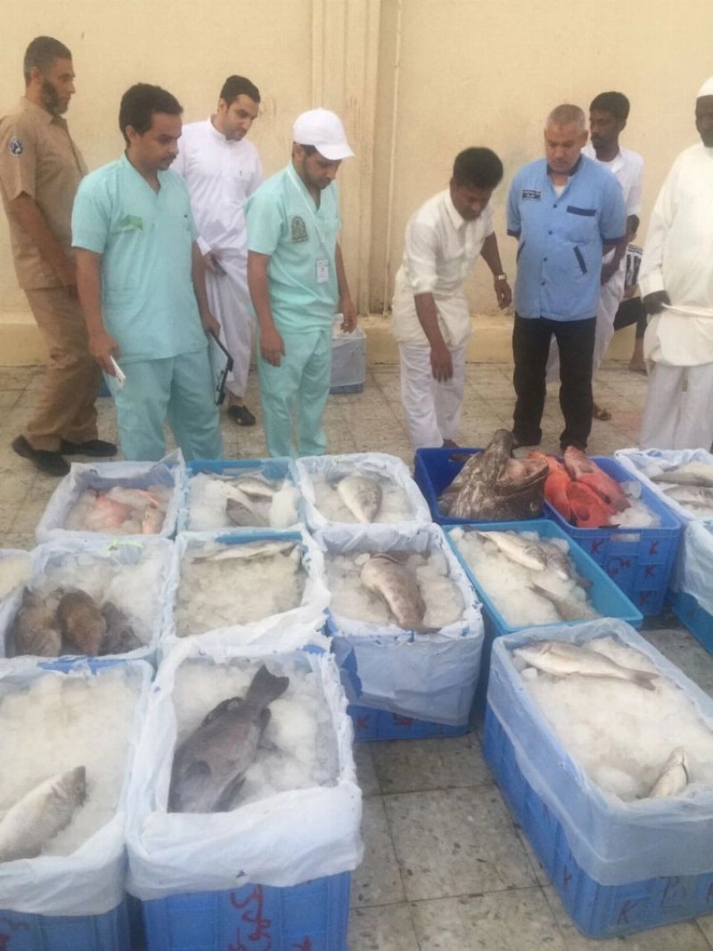 لجنة صحة البيئة خلال معاينتها الأسماك (مكة)