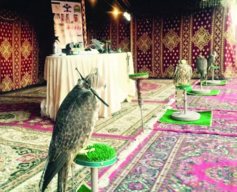 معرض الصقور بإشراف بلدية طريف (مكة)