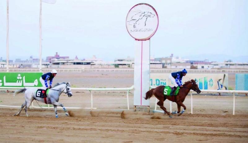 أحد سباقات فروسية جدة (واس)