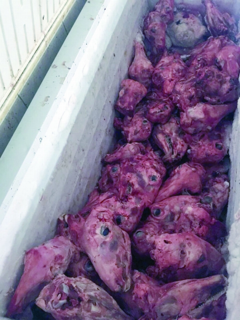 من مضبوطات البلدية (مكة)