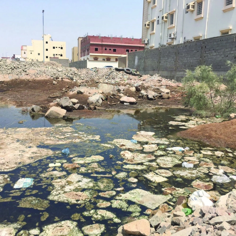 طفوحات المياه تحيط بالمباني (مكة)