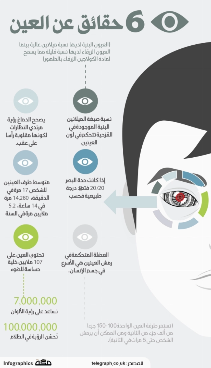 حقائق-عن-العين