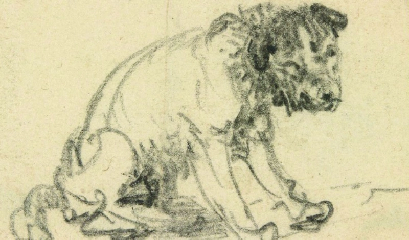الرسمة المكتشفة (Carbonated)