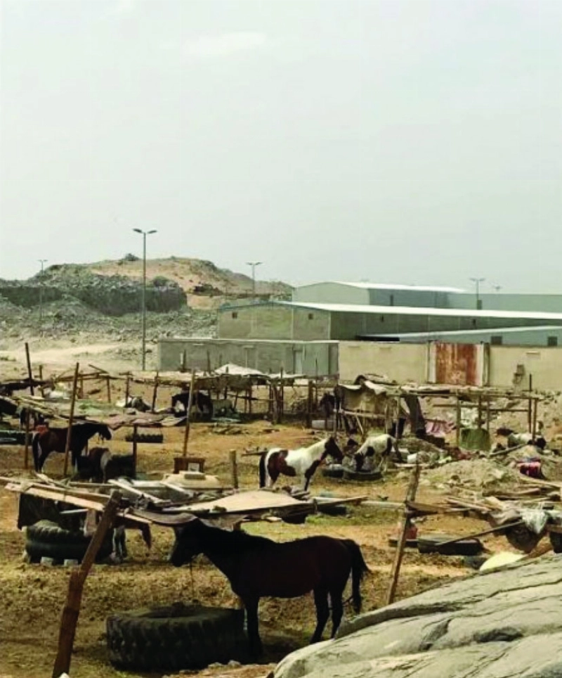 الخيول المضبوطة (مكة)