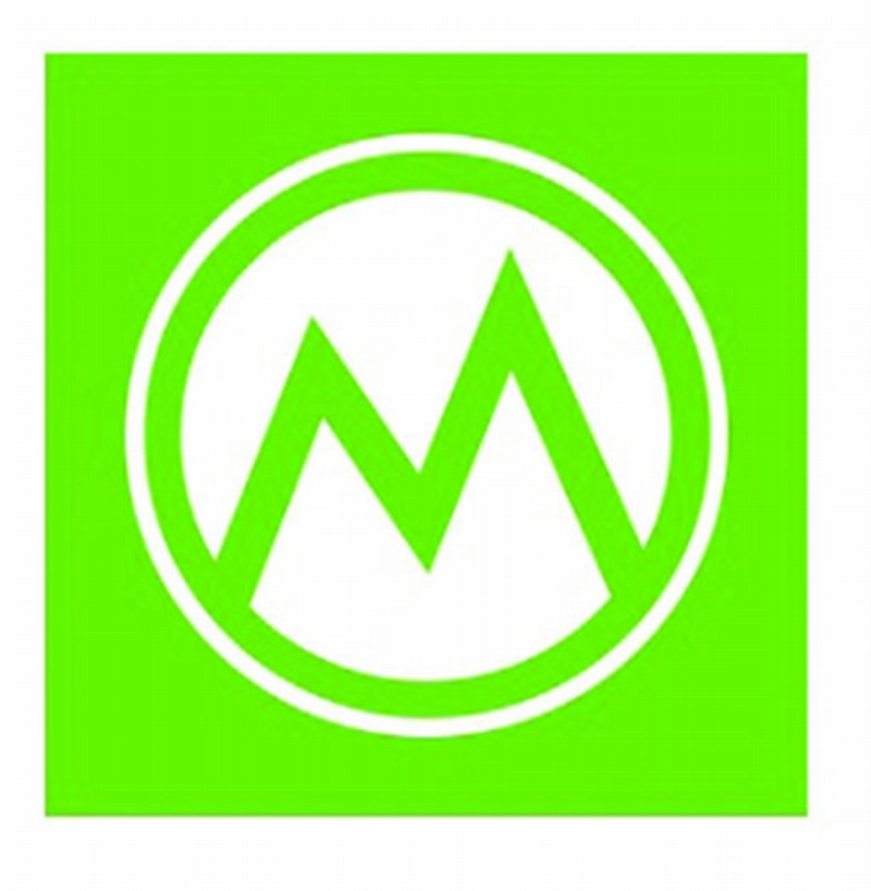 Money View Money Manager