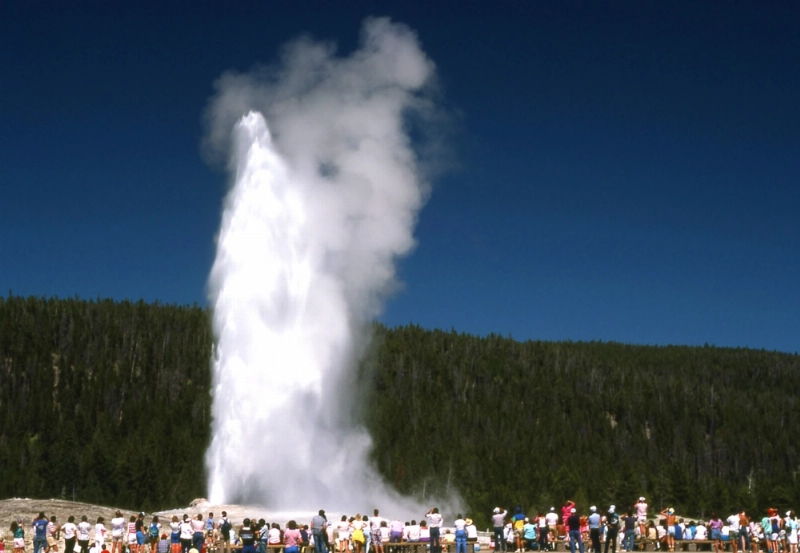 نبع Old Faithful