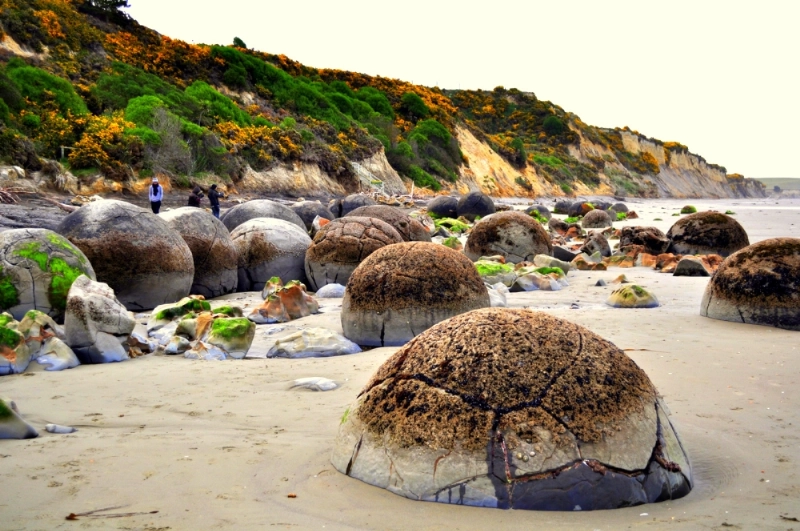صخوور Moeraki