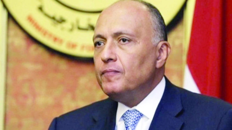 سامح شكري