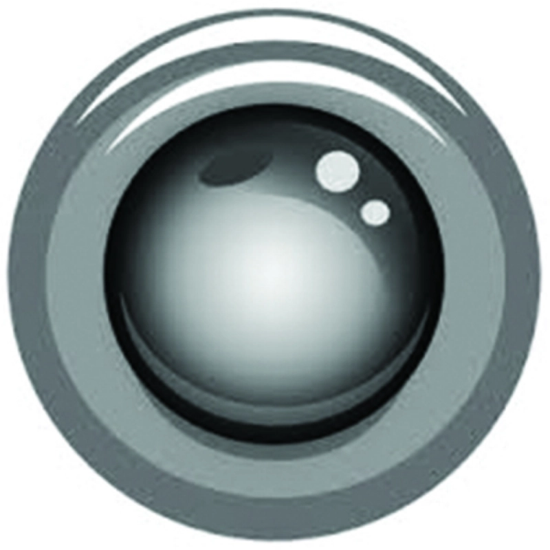 IP Webcam