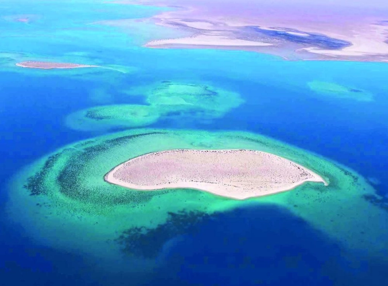 من جزر المشروع