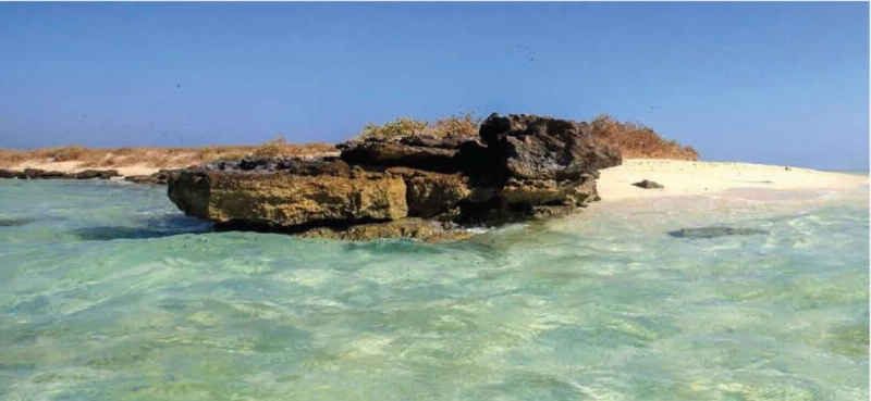 إحدى جزر المشروع