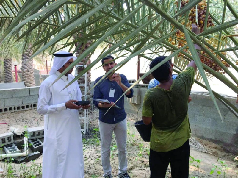 جانب من الجولات على مزارع الأحساء (واس)