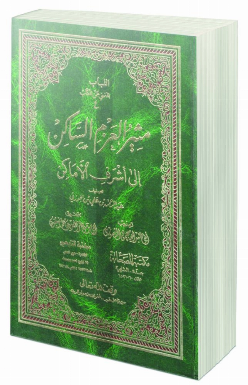 مثير العزم الساكن