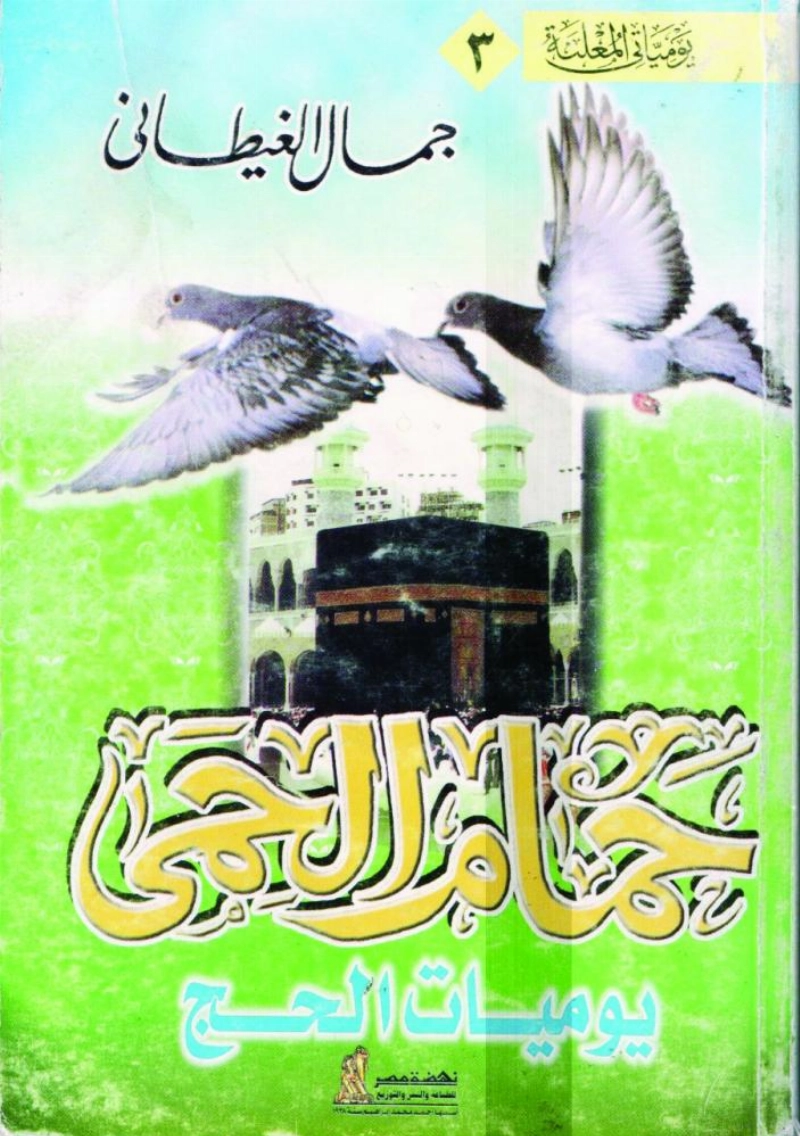 حمام الحمى