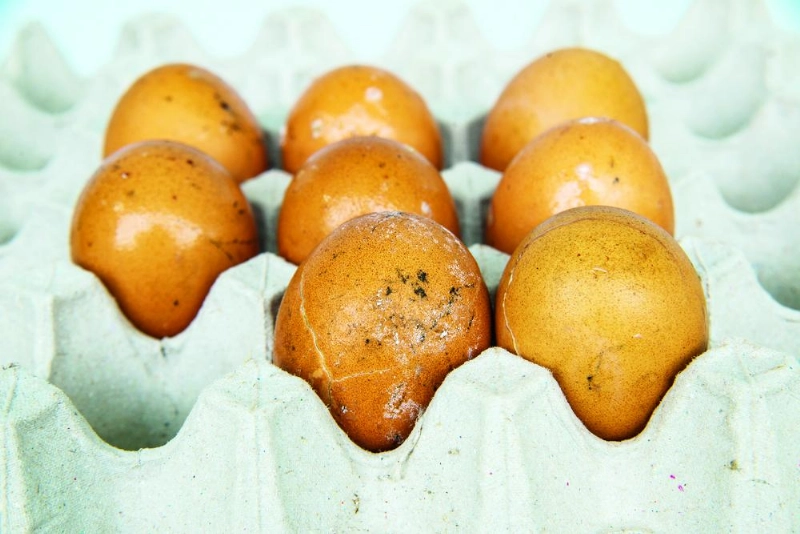 بيض فاسد (shutterstock)