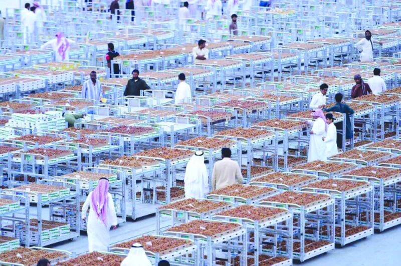 العربات الجديدة في المهرجان (مكة)