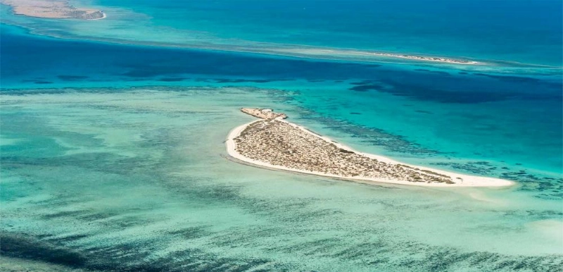 مشروع البحر الأحمر وثبة حضارية ورحلة تنزه في حدائق الشُعب المرجانية