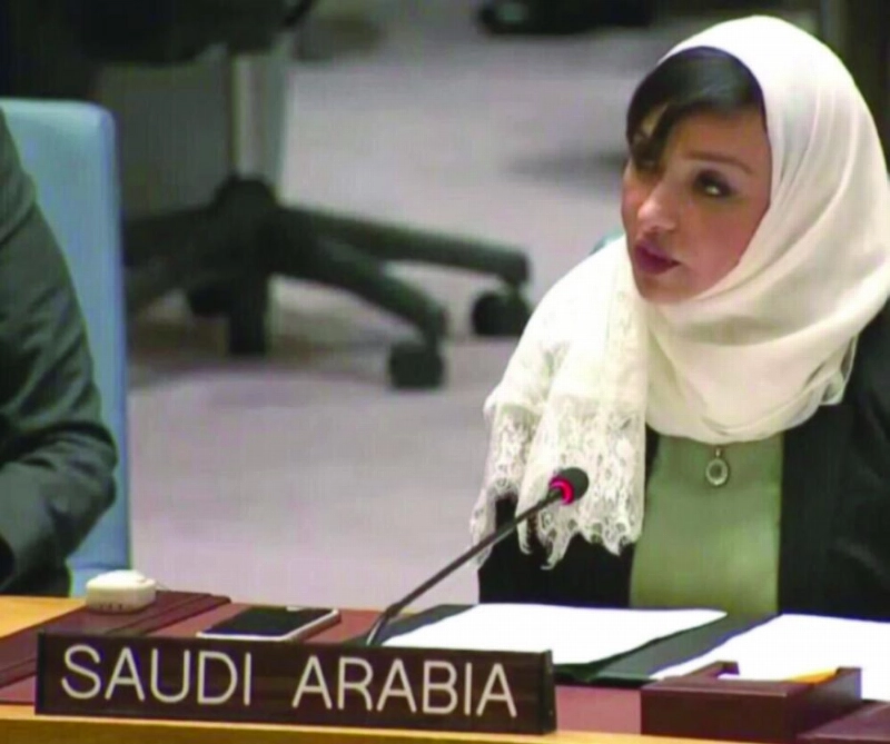 منال رضوان تتحدث في مجلس الأمن (وزارة الخارجية)