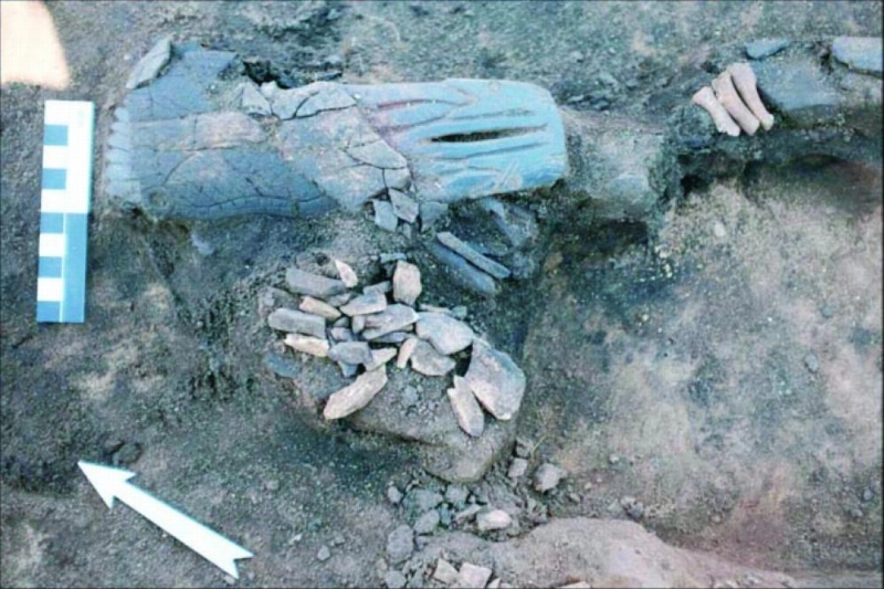 موقع الآثار (The Siberian Times)