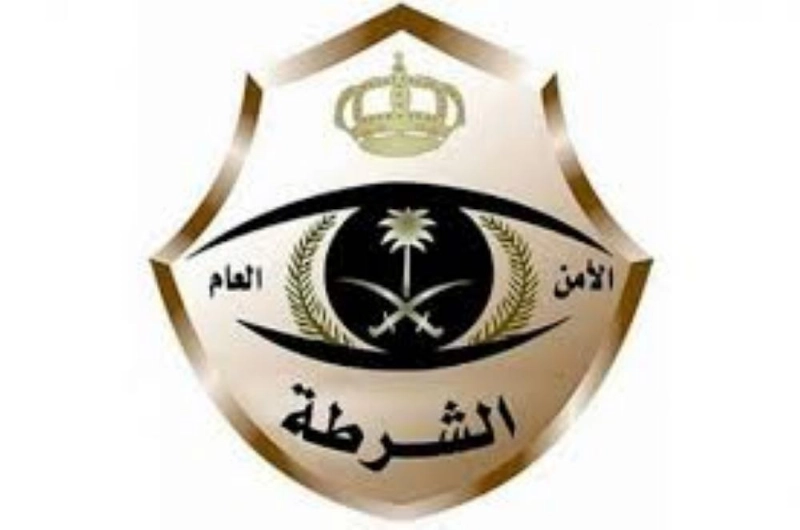 logo 11