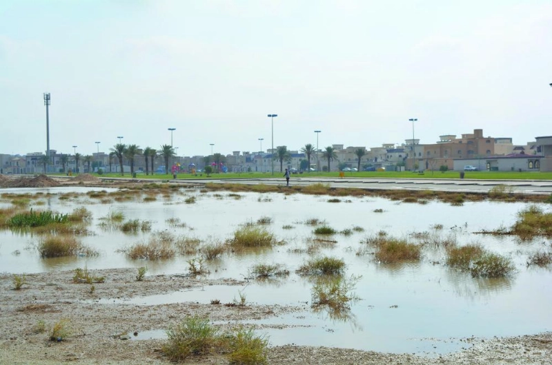من الأمطار التي هطلت على الرس (واس)
