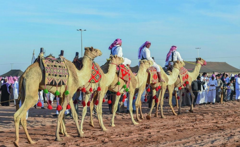 فعاليات سابقة لمهرجان الملك عبدالعزيز للإبل (واس)