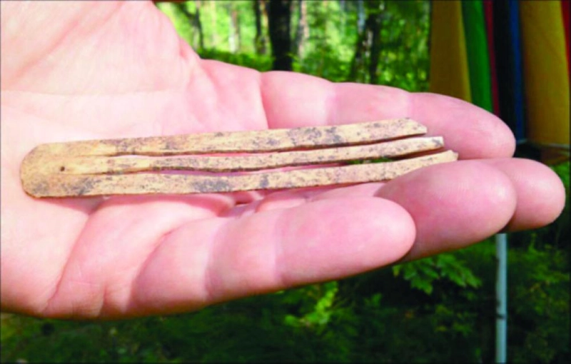 أدوات استخدمت بالقيثارة (Siberian Times)